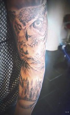 Owl with landscape