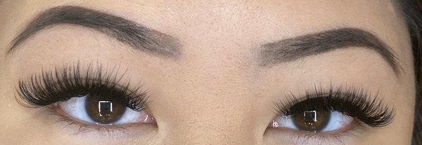 Volume lash fill