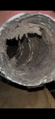 They were supposed to clean our dryer vents. Does that look like it's been touched? Don't use.