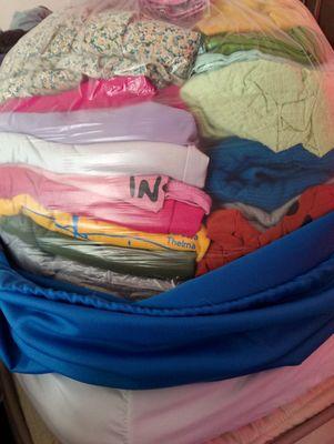 Pleasant Palace Cleaning & Organizing