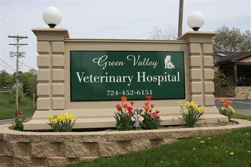 Green Valley Veterinary Hospital