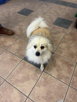 Pool guys friendly sidekick on the road