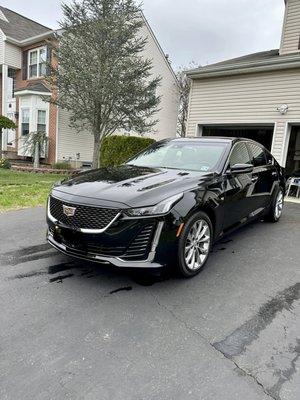 Alpha Mobile Detailing