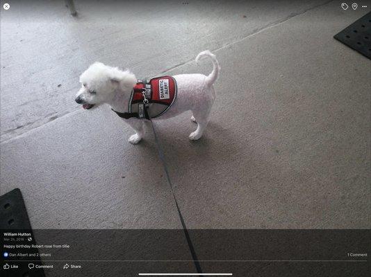 Chester Animal Hospital