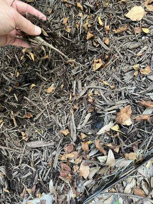 No glue applied to mulch or stone