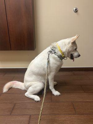 Affordable Care Vet Clinic