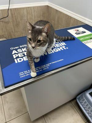 She's ready for her appt