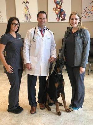 South Baton Rouge Animal Hospital