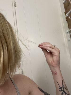 Above and Beyond Aesthetics