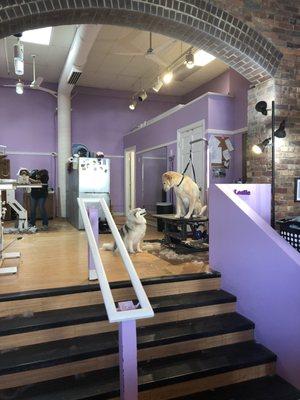 Wonderful experience!