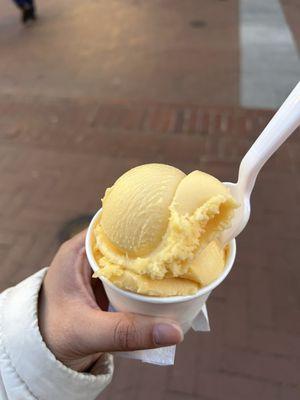 Mango Sorbet