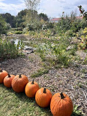 Fireside Orchard & Gardens