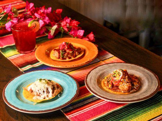 Wild Taco - Berkeley