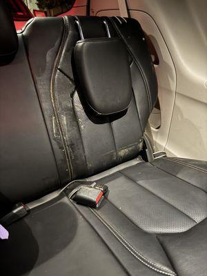 Throw up all over the seat. Freaking gross .