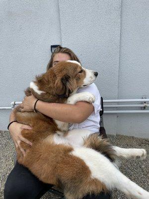 Barks Bed And Biscuit