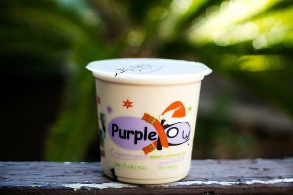 Purple Kow
