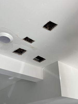 Multiple holes cut in the ceiling in the garage.