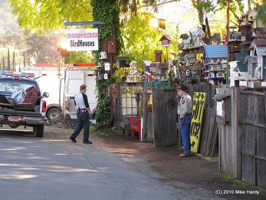 The Woodpecker Garden Store