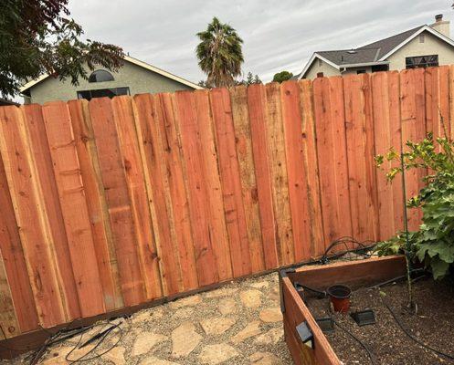 Mani’s Tree Services