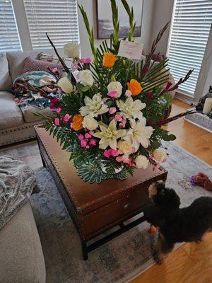 House of Butterflies