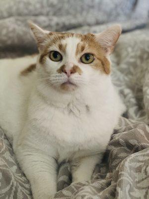 My sweet little princess. Only 7 years old!