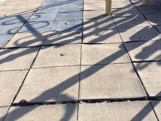 Katherine R. Smith Elementary