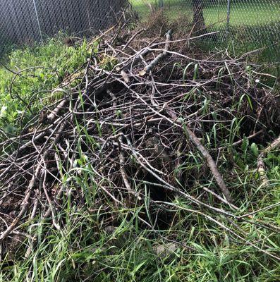 Sticks and Stumps Residential Services