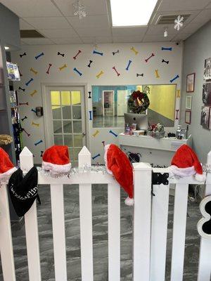 Entrance, with room in the back