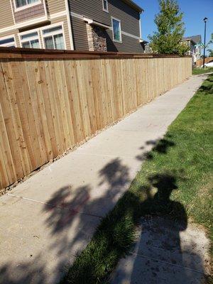 Genesis Landscape and Irrigation