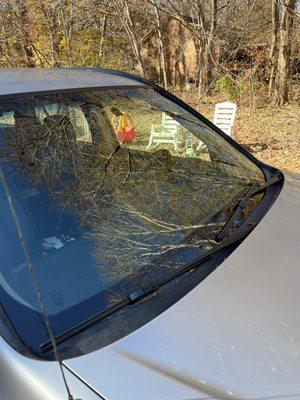 Unique Touch of Glass