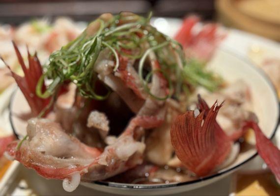 Thorny head fish steamed