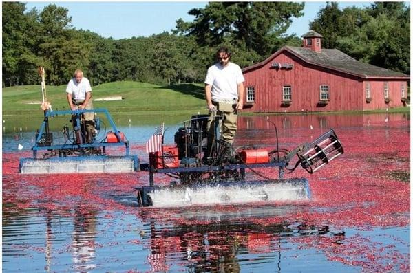 Enterprise Newspapers