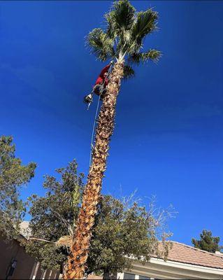 GreenerView Landscaping