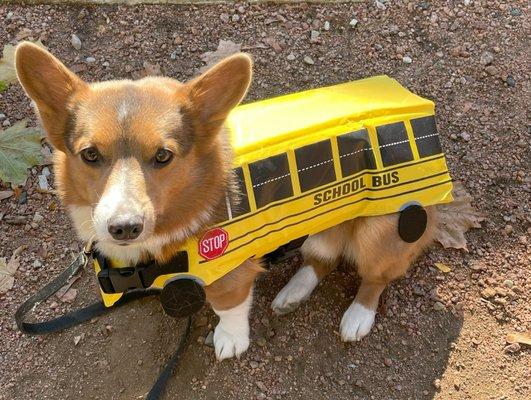 Out-U-Go! North Shore