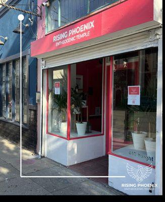 Rising Phoenix Entheogenic Temple Magic Mushroom Church