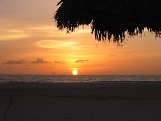 A-Action Transportation