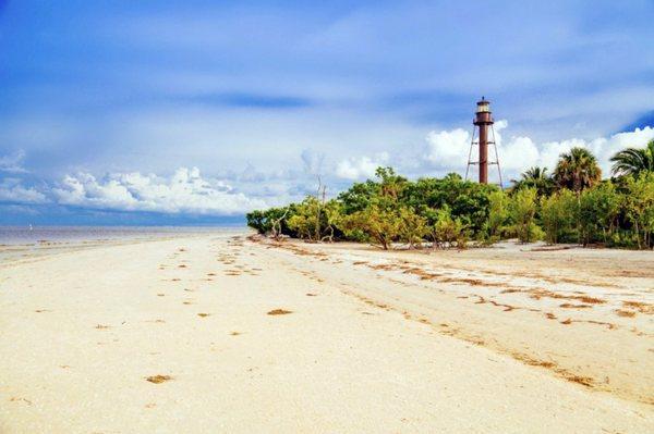 John Naumann & Associates