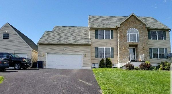 Professional Painting Solutions & GC