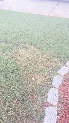 Lawn Love Lawn Care