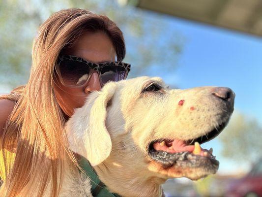 Peaceful Pets Services