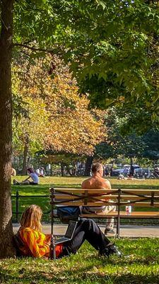 Screen time in the park