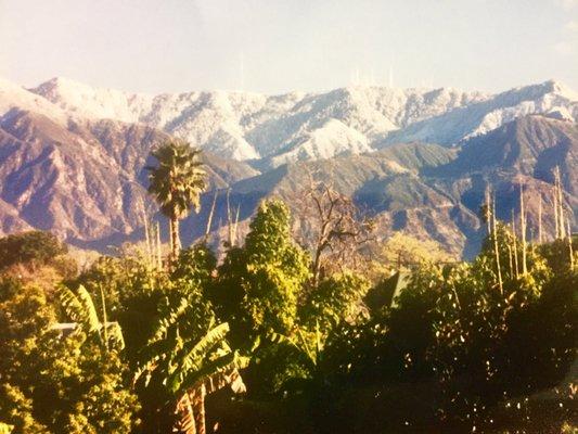 Fitzgerald & Green Attorneys At Law