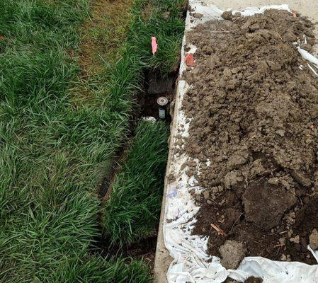 California Bulldog Demolition