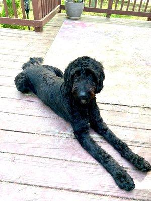 Midwest Veterinary Hospital