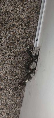 Rolling Hills Apartments Homes