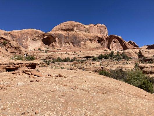 M Newman & Associates