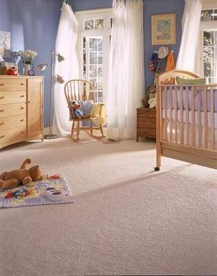 Carpet Cleaning St Albans WV