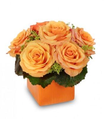 Buds & Blossoms Florist