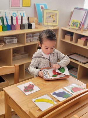 The Nest Montessori School