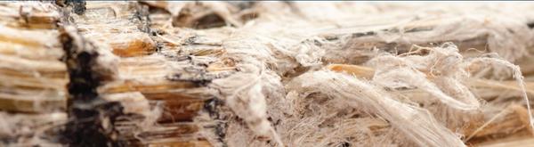 Big East Environmental